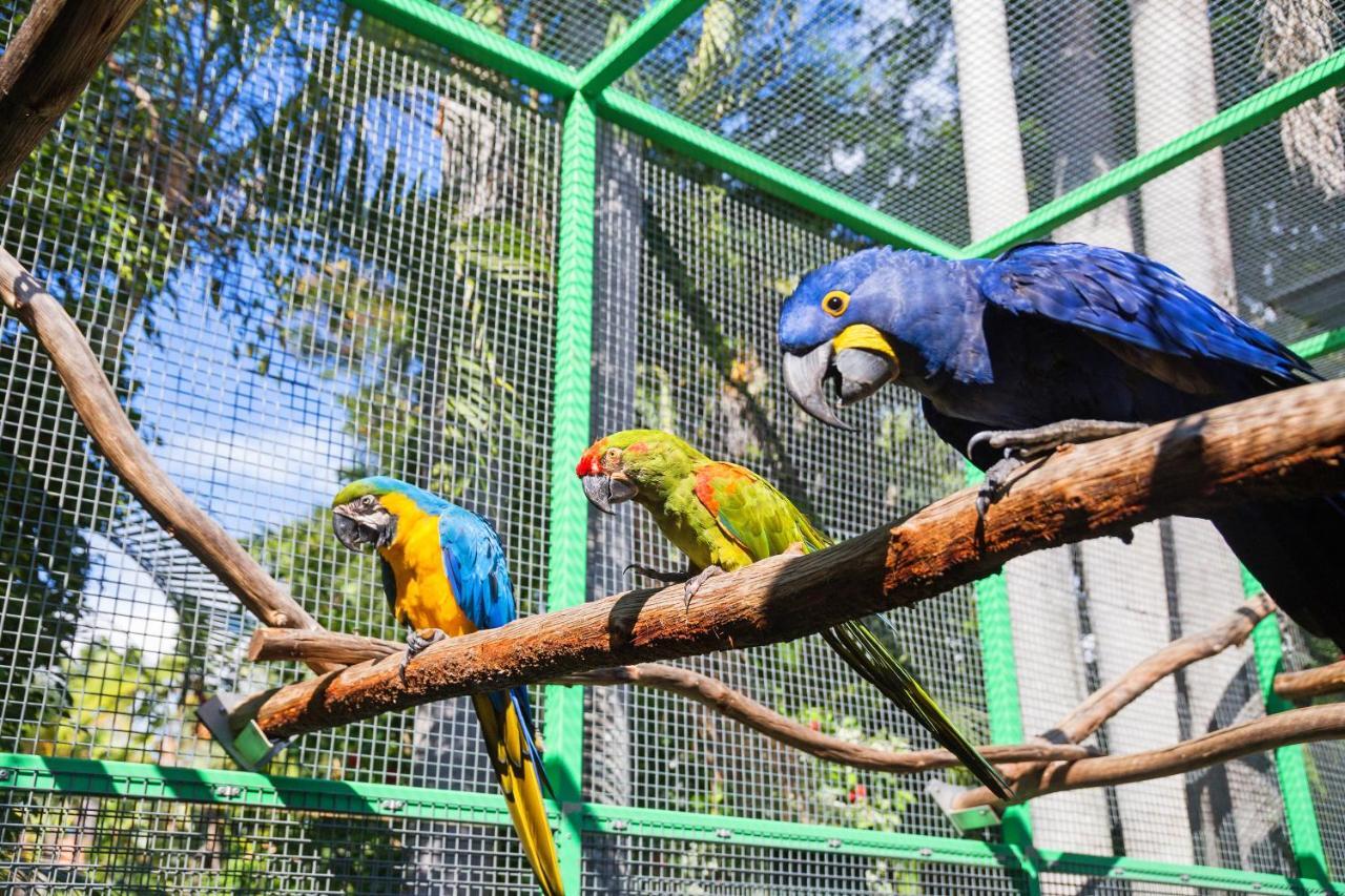 Ashmore Palms Holiday Village Gold Coast Ngoại thất bức ảnh